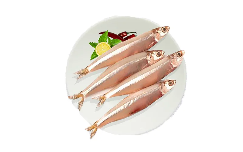 Nethili / Mandeli / Anchovy / White Sardine / Veloori  / Kozhuva	